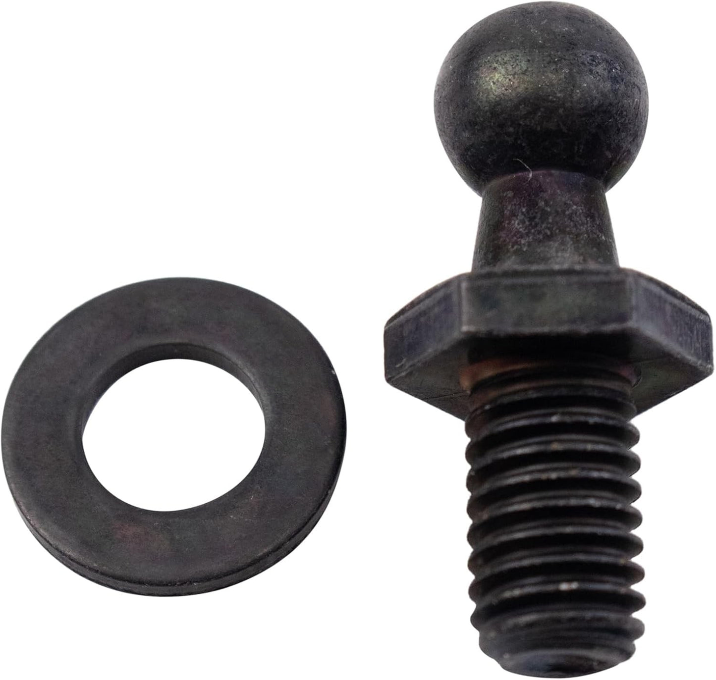 Left Liftgate Lift Support Shock Strut Compatible with 2000-2005 Toyota Celica