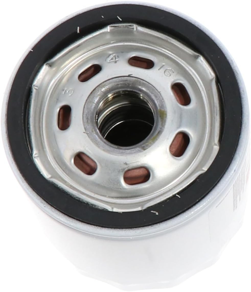 Engine Oil Filter FL910S 04-910S BE8Z-6731-AB