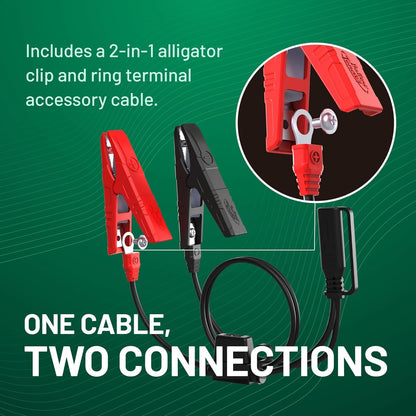 Junior 12V, 800mA Battery Charger and Maintainer for Lead Acid and Lithium