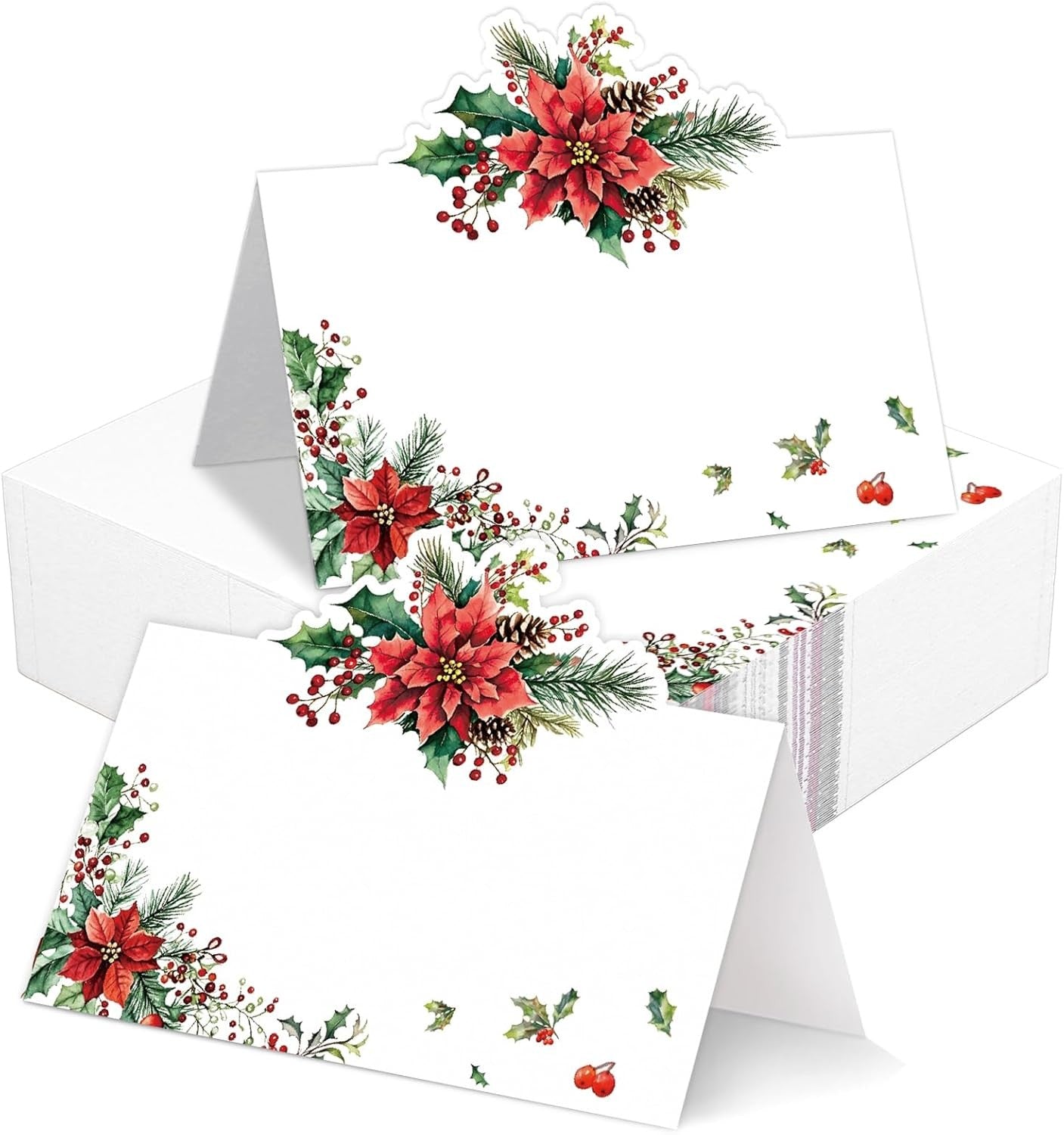 Christmas Place Cards for Table Setting Eucalyptus 25 pack Random style shipping