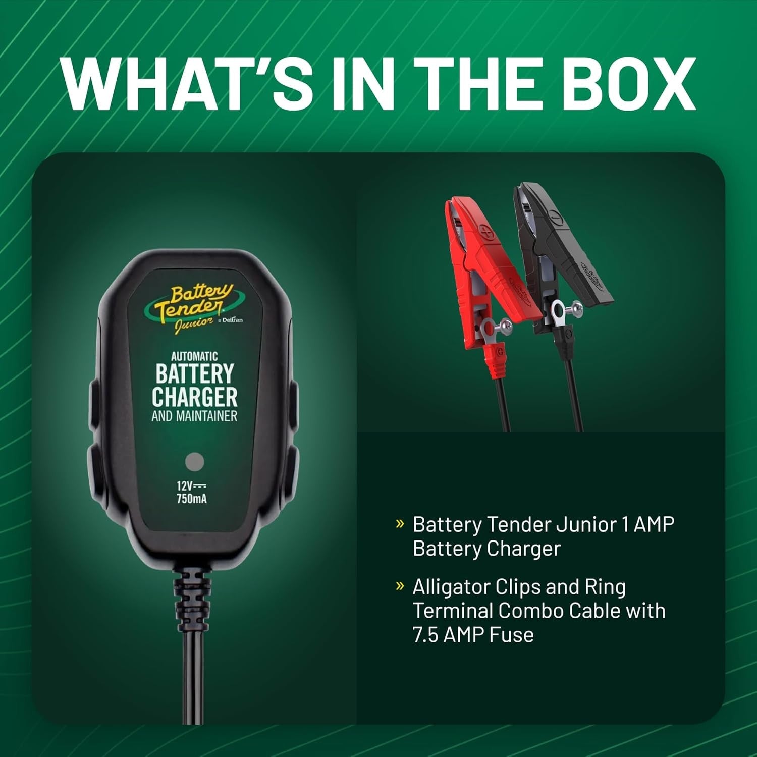 Junior 12V, 800mA Battery Charger and Maintainer for Lead Acid and Lithium